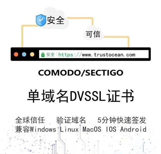 SSL证书保护网络,保障网络安全的基石