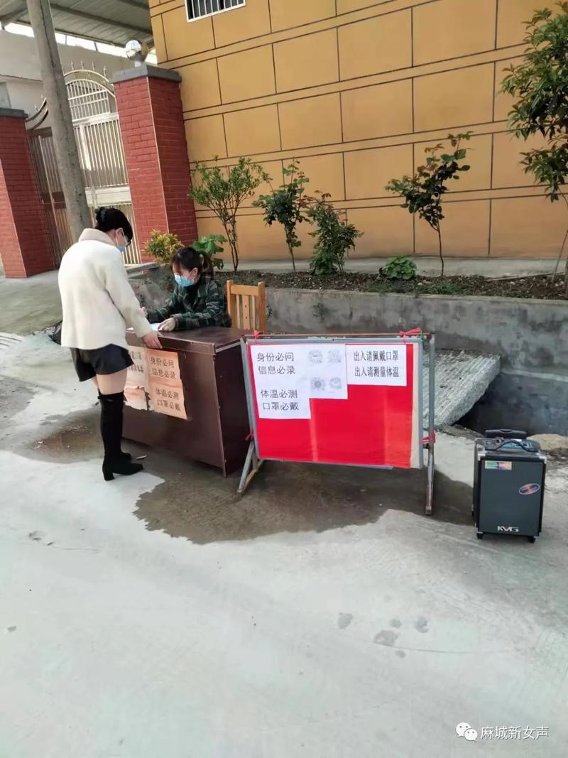 麻城疫情最新动态，防控策略与应对措施