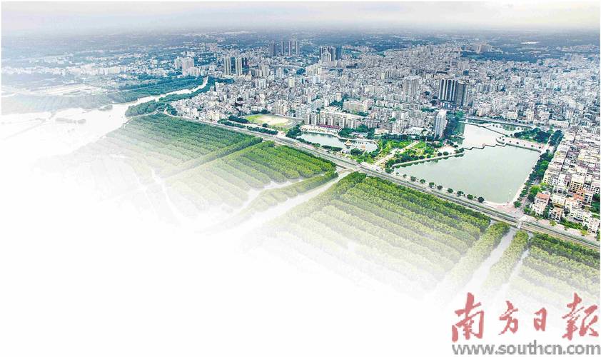 探索茂名网站建设的机遇与路径