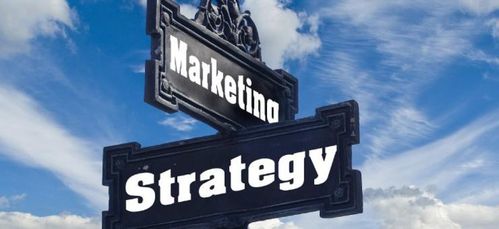 CN Marketing Experts:How to Choose the Right Company for Your Marketing Needs