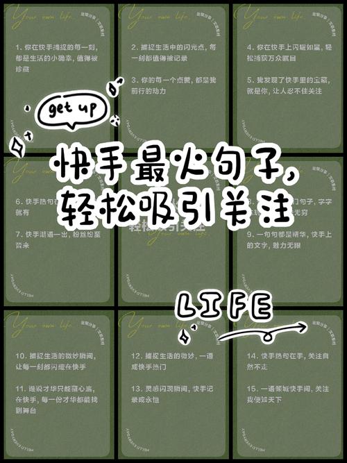 快手刷业务粉丝，快速获取关注的必选内容