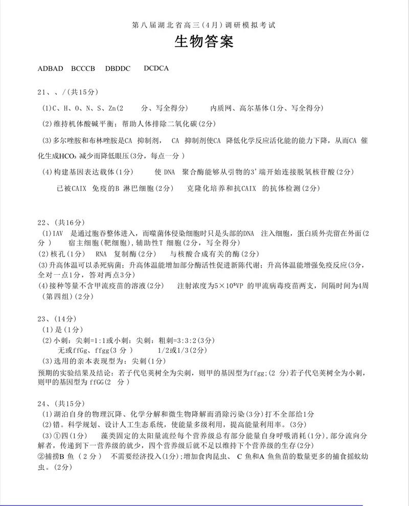 如何在抖音评论中取得好成绩?评论策略与优化
