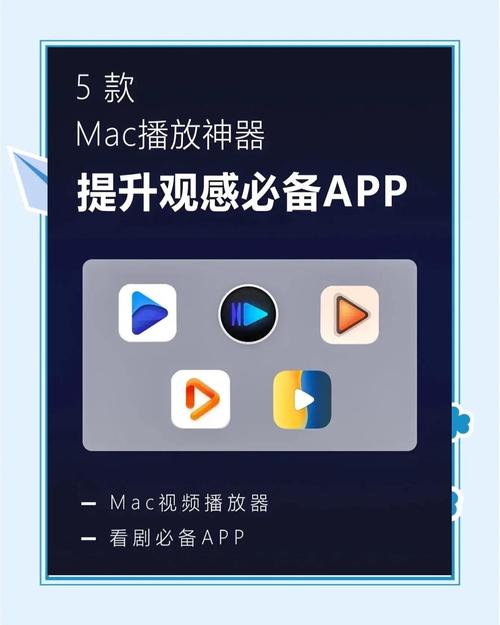 抖音播放量工具推荐,高效获取播放量数据