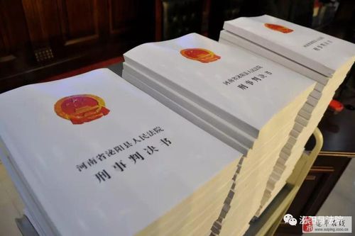 疫情指南，西平遂平最新消息解析