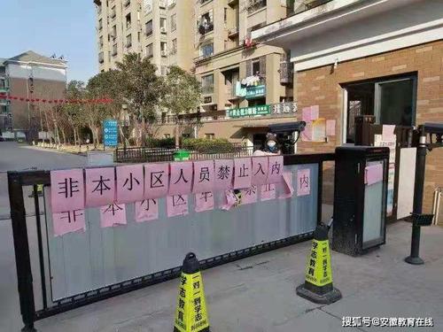 舒城疫情最新动态全面解析