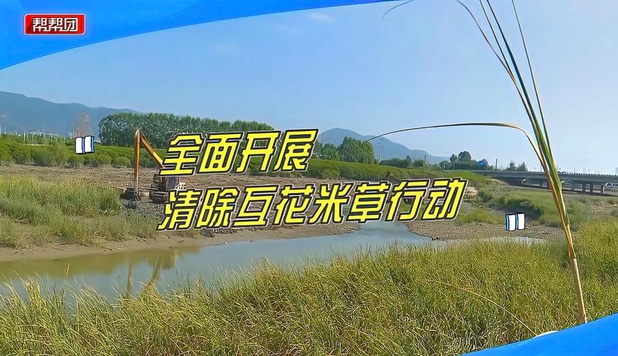 生态,轻松涨粉丝!