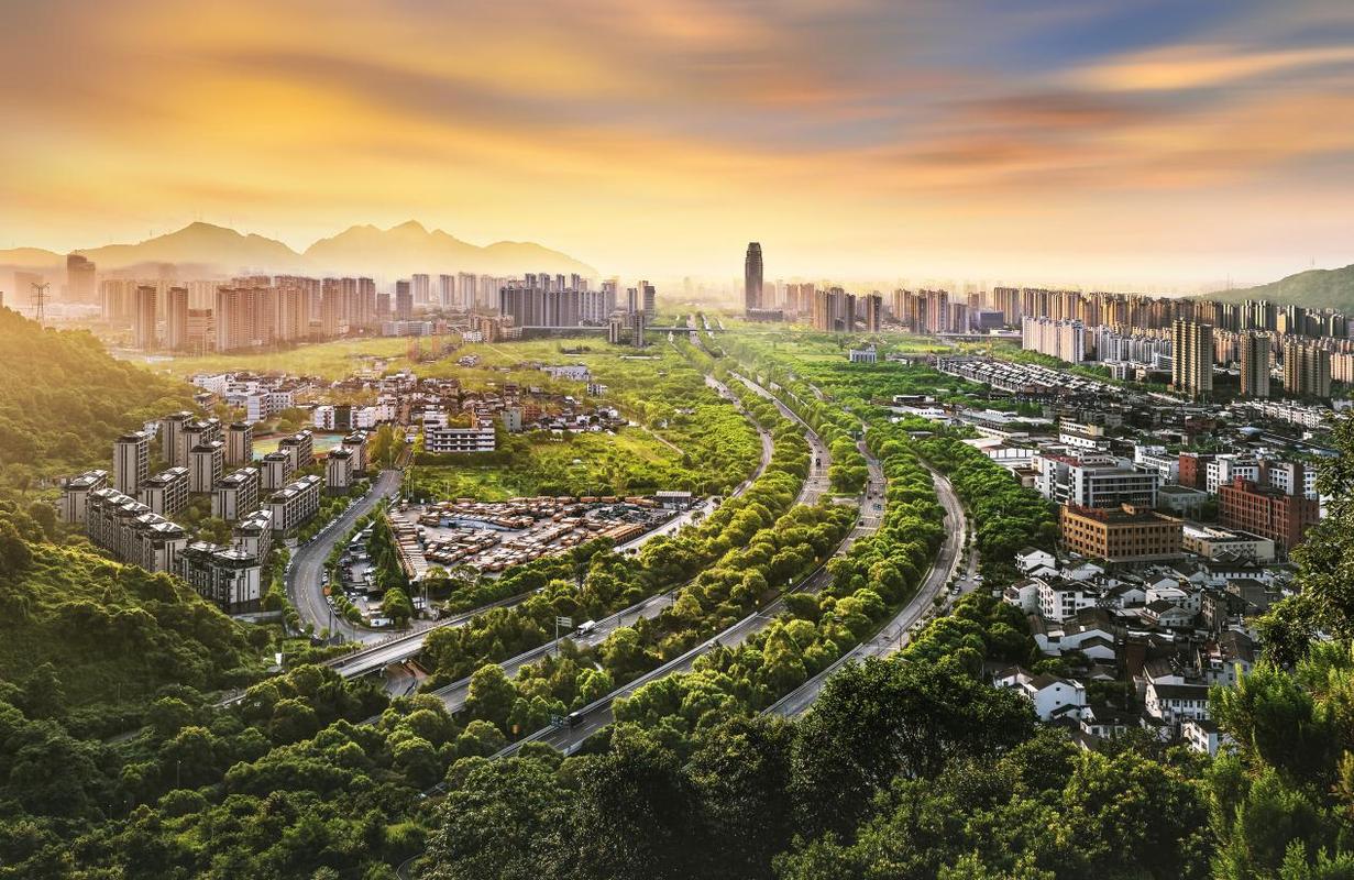 温州专业建设的机遇与挑战