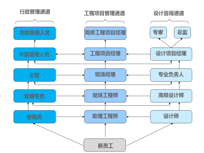 网站建设，专业方向与职业发展