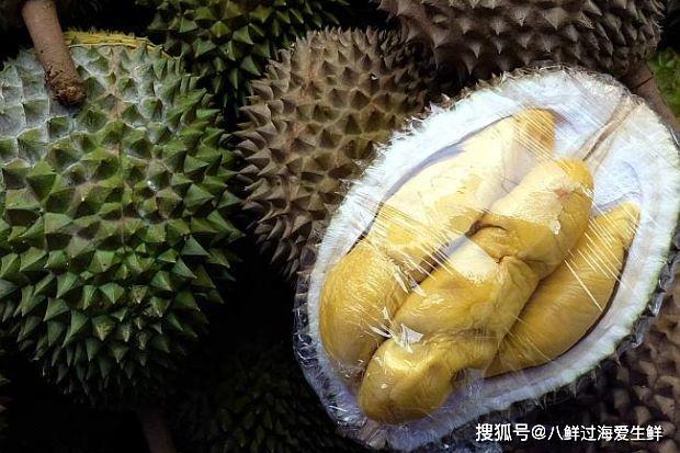 怀集榴莲疫情,品质与供应链的交响乐