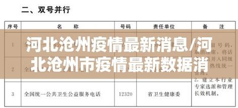 龙山祥和路最新疫情消息