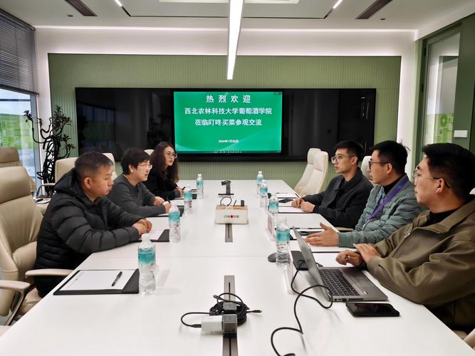 上海网络销售外包，行业现状与未来展望