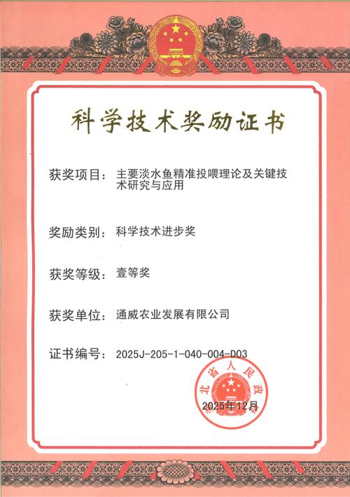 秦皇岛网络公司,技术领先,创新引领
