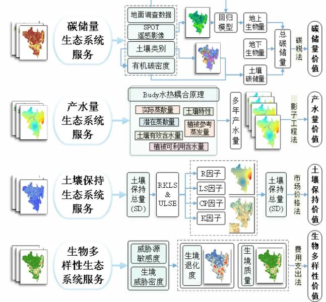 河北网络有限公司，技术驱动的创新生态系统