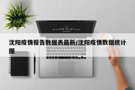 沈阳疫情最新消息，防控措施和数据解析