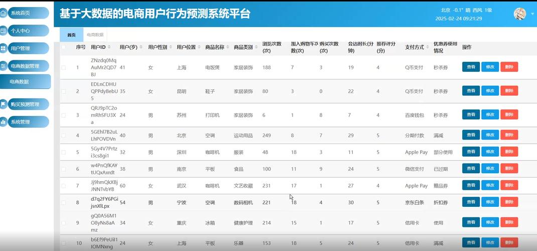 网络促销策划,从目标受众定位到用户行为分析