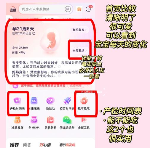 快乐孕期电脑版推荐,选择健康守护者的最佳选择
