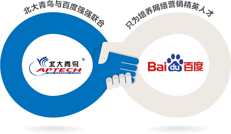 岛心网络营销外包，从市场到你的未来