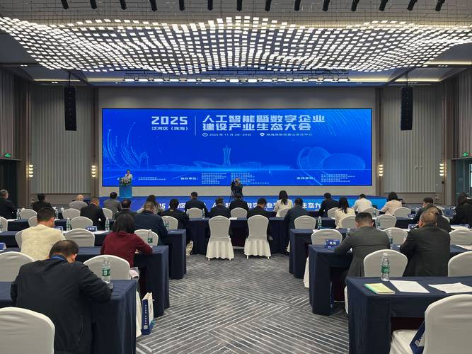 珠海网络科技有限公司,机遇与未来