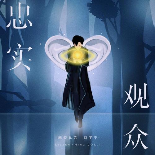 如何让粉丝成为你的忠实观众,内容优化与持续输出