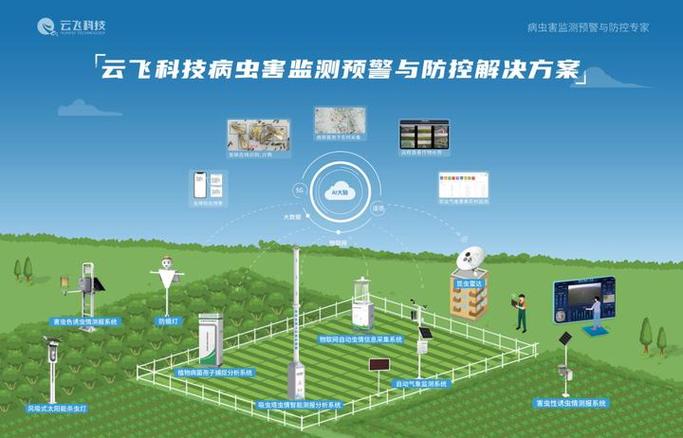 浙江信息网络推广，从策略到实践，帮你打造高效的内容生态