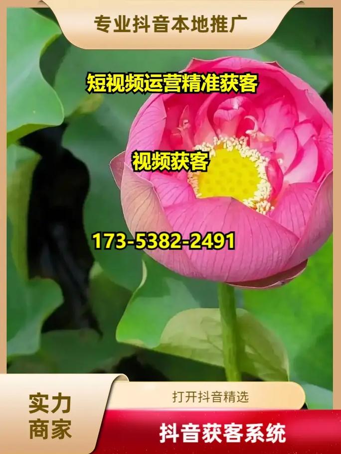 天水网络推广，你为什么选择它？有什么独特的优势？