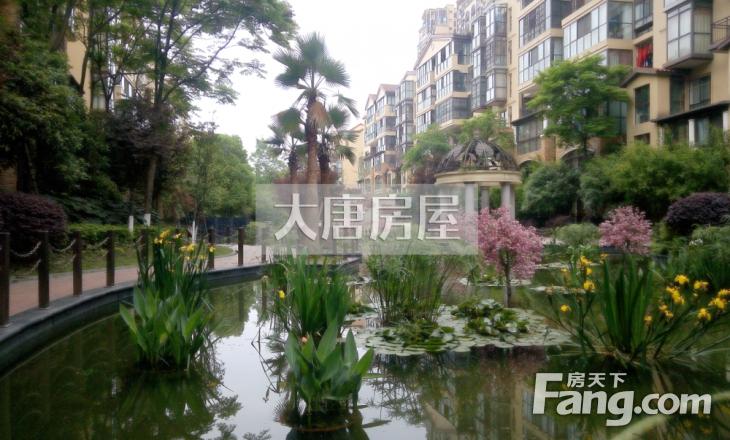 成都香博城疫情最新消息