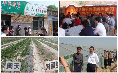 阜城网络设计公司,助力商业成功的关键力量