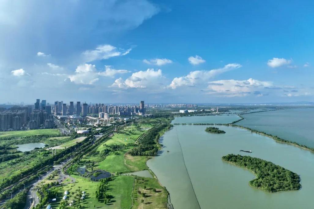 脱离线,合肥网络公司,网络化时代的一道亮丽风景