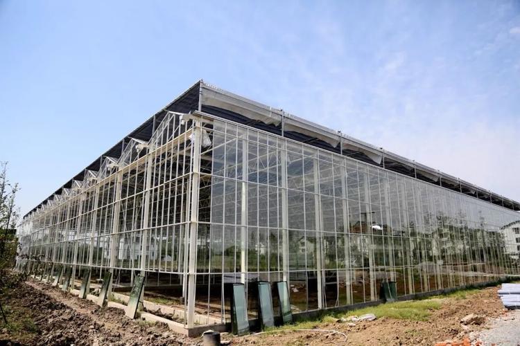 蒋都高端网站建设,让江都企业绽放光彩
