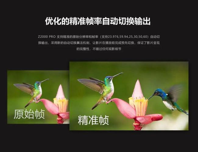 如何用自媒体文章高效传播电脑Dvd播放器的利润