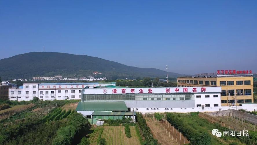 南阳网络推广单位如何提升品牌影响力