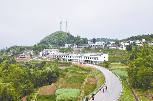 德阳网络制作,你值得拥有的内容制作平台