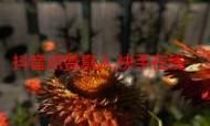 抖音快手低价自助下单平台,ks业务在线自助下单,ks业务代赞2