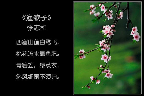 如何在网络空间中找到上海古诗,选上海百首