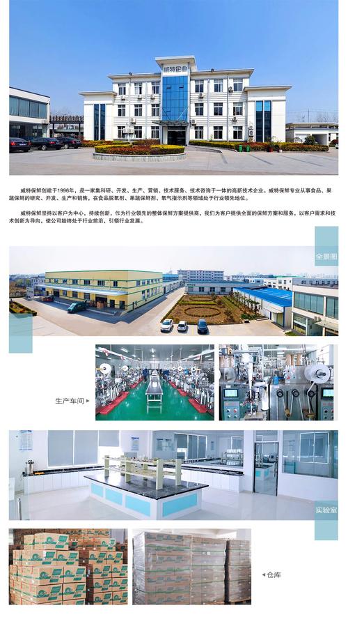 解析淮安专业网络公司的服务与优势