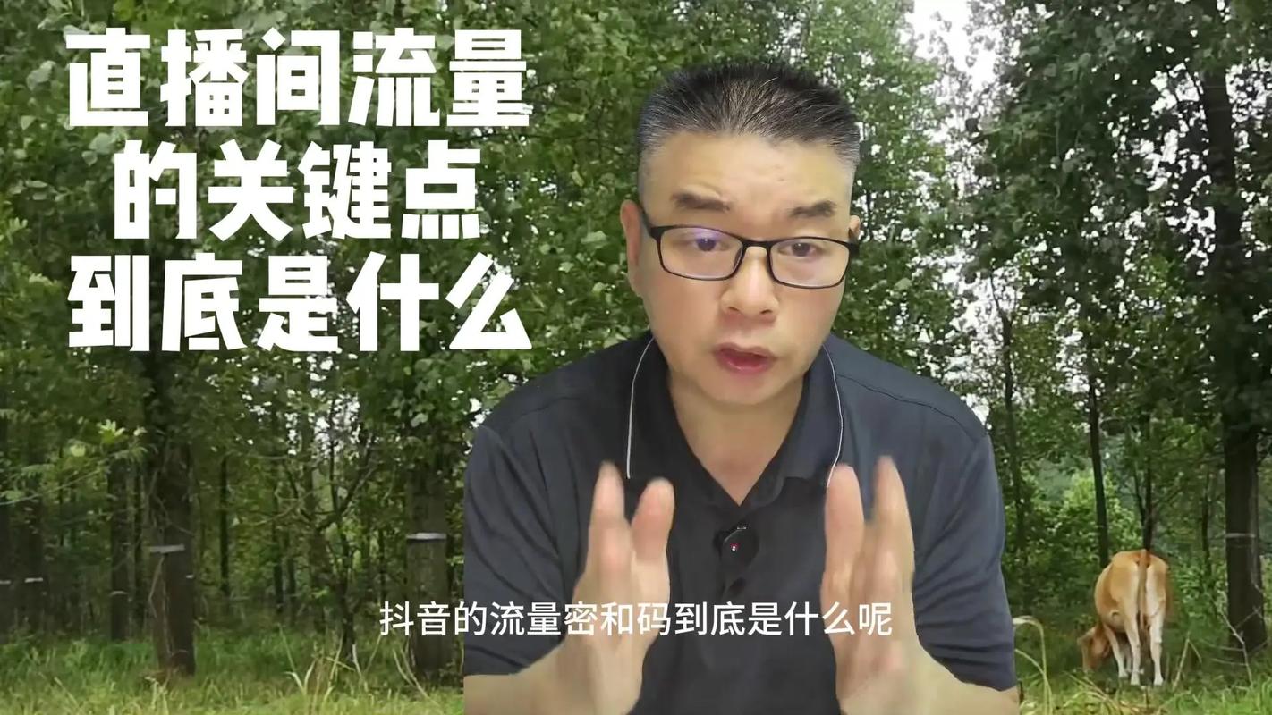 抖音赞币获取指南,助力账号成长的秘钥