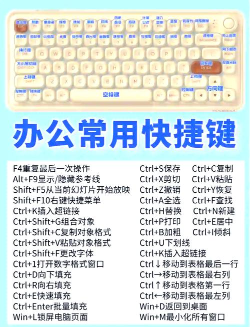 电脑小能手指南,台式电脑推荐指南,轻松高效使用