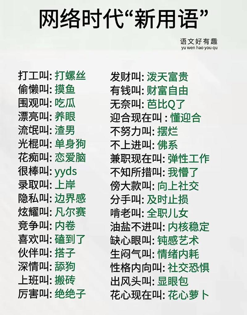 网络用语,解读与应用之道