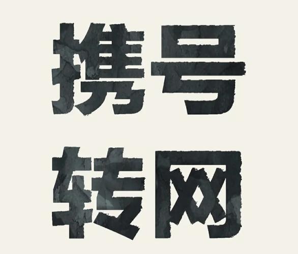 东莞网络服务,轻松连接,高效运营
