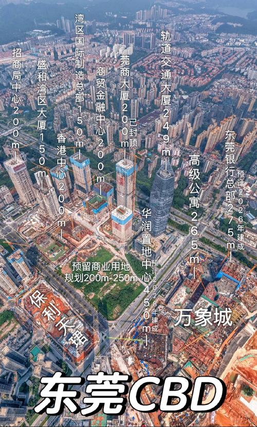 东莞，新建城市的一年备选方案