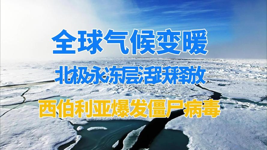 北极病毒疫情最新消息，全球关注点与应对策略