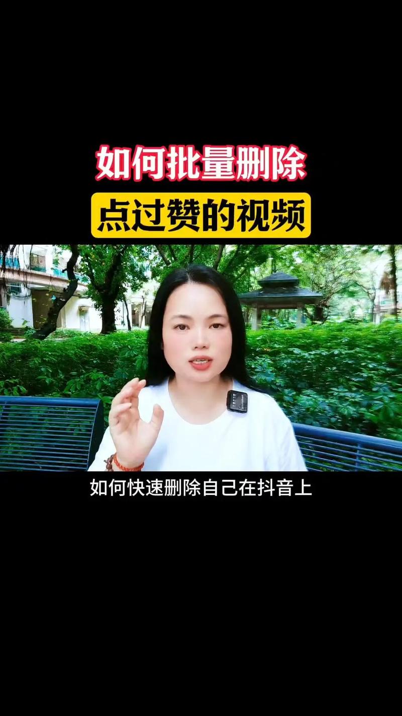 抖音官方代手把手指南,如何快速获取高价值作品赞