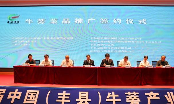 丰县网络推广,如何成功制定策略与执行!