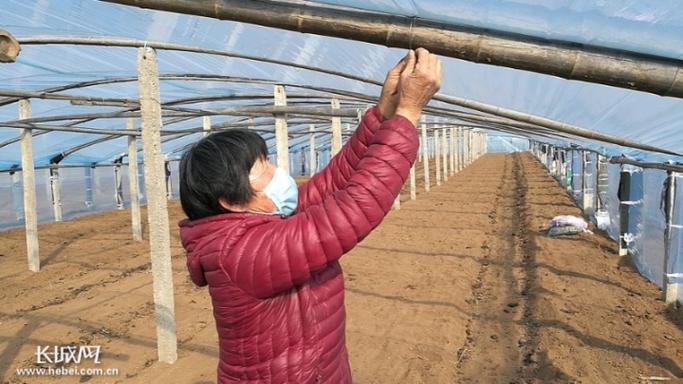 平乡任县疫情最新消息来了！
