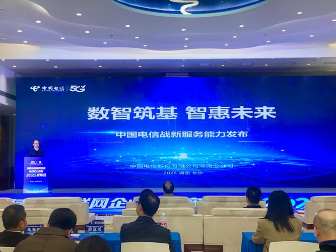 湖南网络公司，创新驱动的未来之选