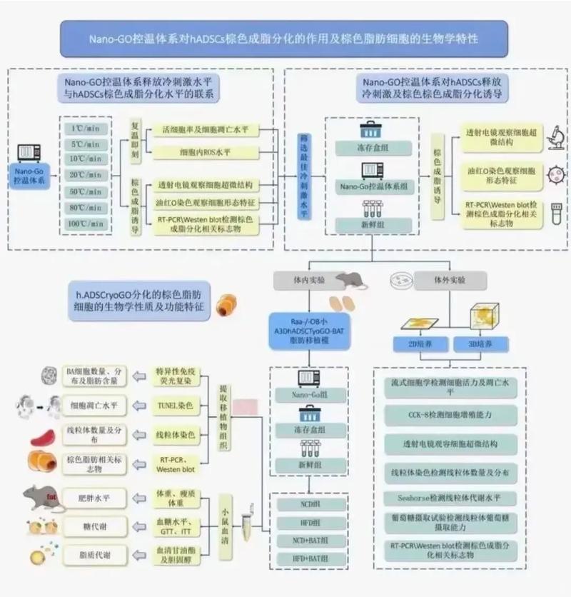 天津 sina 建设新篇,技术路线与未来趋势