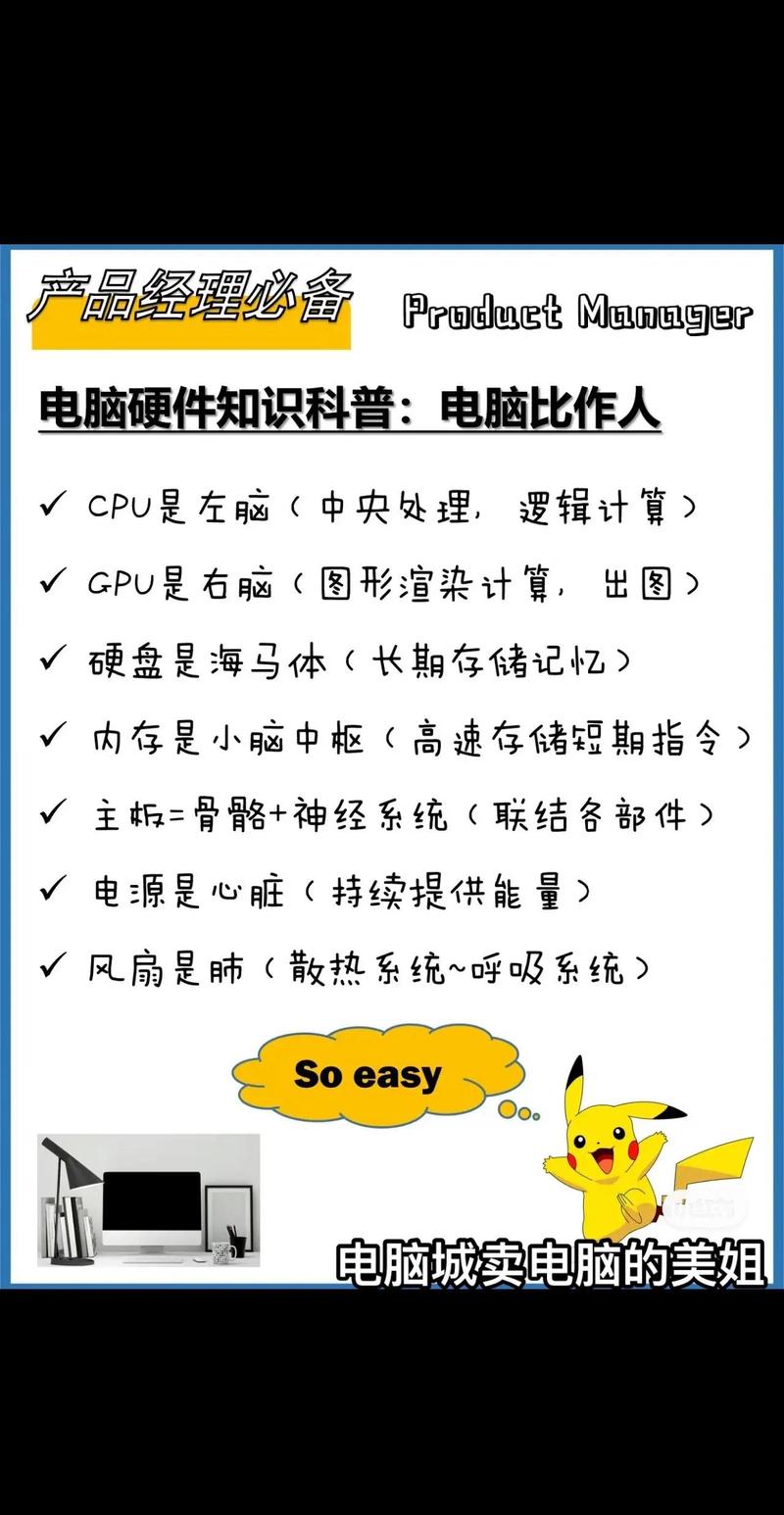 一、电脑的基本组成与重要性