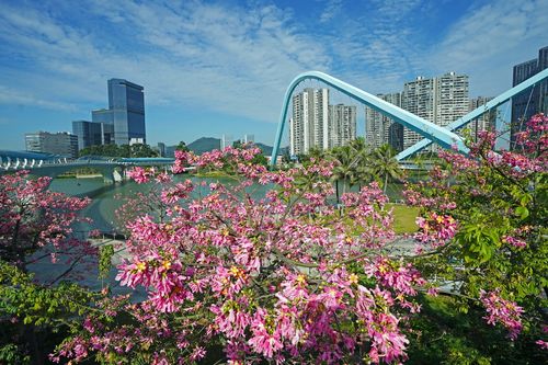 一、南沙网络推广的市场现状