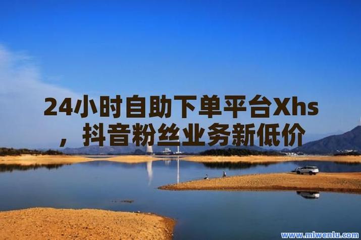 抖音直播自助下单平台,让直播变得容易,Plus 低价服务