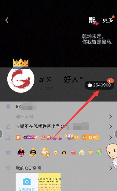 什么是刷赞秒刷？